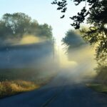 the sun shines through the fog on a country road