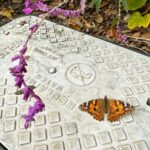 a stone with a flower and a butterfly on it